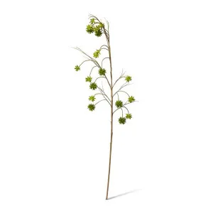 Spikey Seeding Spray - 38 x 20 x 135cm by null, a Plants for sale on Style Sourcebook