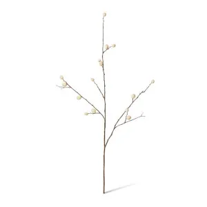 Berry Pod Dried Look Branch - 16 x 8 x 85cm by null, a Plants for sale on Style Sourcebook