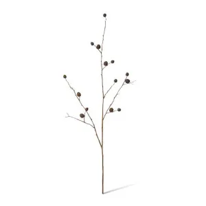 Berry Pod Dried Look Branch - 16 x 8 x 85cm by null, a Plants for sale on Style Sourcebook
