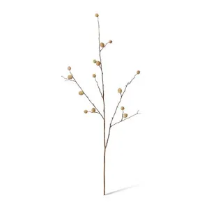Berry Pod Dried Look Branch - 16 x 8 x 85cm by null, a Plants for sale on Style Sourcebook