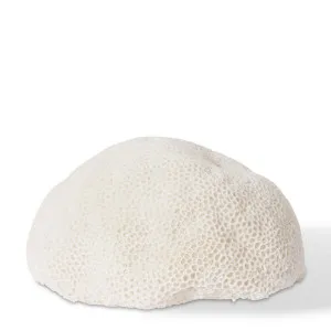 Coral Lamp Starlet - 35 x 31 x 18cm by null, a Table & Bedside Lamps for sale on Style Sourcebook