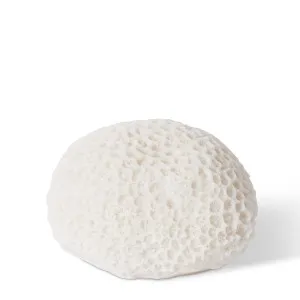 Coral Night Light Starlet - 14 x 13 x 9cm by null, a Table & Bedside Lamps for sale on Style Sourcebook