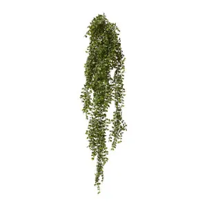 Ruscus Hanging Bush (Outdoor) - 24 x 20 x 122cm by null, a Plants for sale on Style Sourcebook