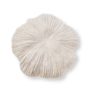 Sea Coral Wall Décor - 50 x 8 x 49cm by null, a Painted Canvases for sale on Style Sourcebook