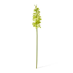 Orchid Vanda Stem - 9 x 10 x 69cm by null, a Plants for sale on Style Sourcebook