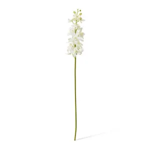 Orchid Vanda Stem - 9 x 10 x 69cm by null, a Plants for sale on Style Sourcebook