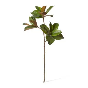 Magnolia Classic Leaf Spray - 28 x 45 x 89cm by null, a Plants for sale on Style Sourcebook