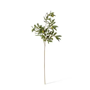 Olive Rocca Spray - 28 x 35 x 97cm by null, a Plants for sale on Style Sourcebook