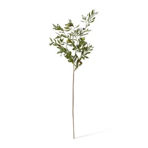Olive Rocca Spray - 32 x 44 x 117cm by null, a Plants for sale on Style Sourcebook