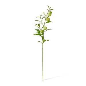 Milk Weed Leaf Stem - 22 x 26 x 114cm by null, a Plants for sale on Style Sourcebook