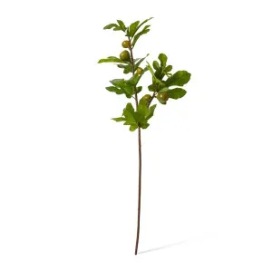 Fig Branch - 20 x 32 x 86cm by null, a Plants for sale on Style Sourcebook