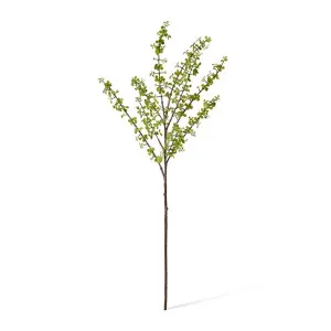 Jade Stem - 16 x 34 x 97cm by null, a Plants for sale on Style Sourcebook