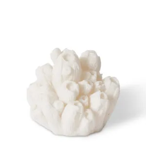 Coral Night Light Sea Lotus - 14 x 14 x 8cm by null, a Table & Bedside Lamps for sale on Style Sourcebook