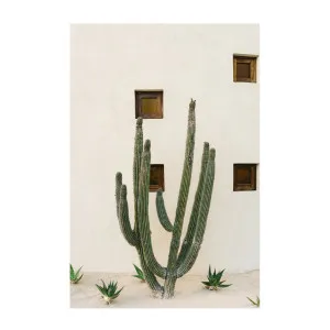 Cabo Cactus IX by Gioia Wall Art, a Prints for sale on Style Sourcebook