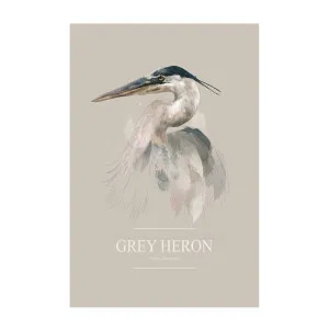 Grey Heron by Gioia Wall Art, a Prints for sale on Style Sourcebook