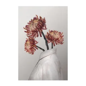 In Bloom by Gioia Wall Art, a Prints for sale on Style Sourcebook