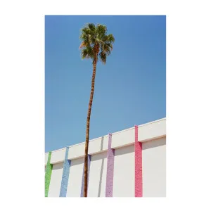 Palm Springs II by Gioia Wall Art, a Prints for sale on Style Sourcebook