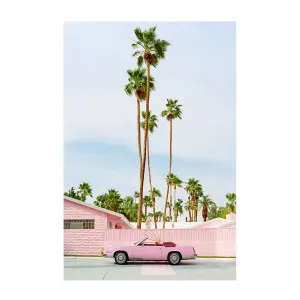 Pink Palm Springs by Gioia Wall Art, a Prints for sale on Style Sourcebook