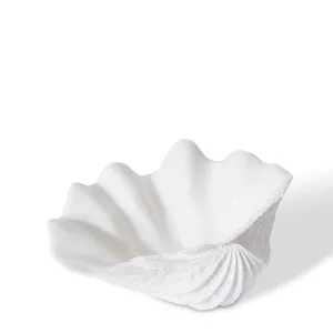 Shell Clam - 19 x 14 x 7cm by null, a Statues & Ornaments for sale on Style Sourcebook
