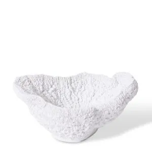 Coral Bowl - 28 x 19 x 12cm by null, a Statues & Ornaments for sale on Style Sourcebook