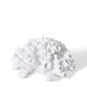 Coral Flower - 20 x 20 x 9cm by null, a Statues & Ornaments for sale on Style Sourcebook