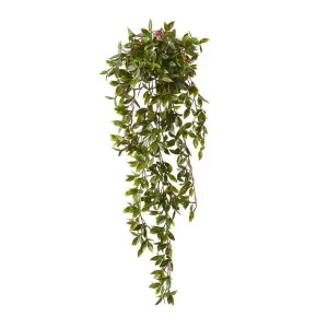 Radiator Hanging Plant (Outdoor) - 50 x 40 x 86cm by null, a Plants for sale on Style Sourcebook