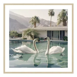Bianca Framed Print in 84 x 84cm by OZ Design, a Prints for sale on Style Sourcebook