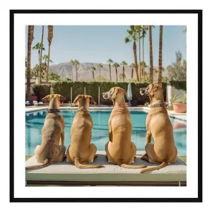 Dukes Framed Print in 84 x 84cm by OZ Design, a Prints for sale on Style Sourcebook