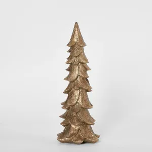 Golda Pine Tree SML by Florabelle Living, a Plants for sale on Style Sourcebook