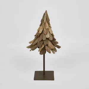 Drift Fir Tree 60cm by Florabelle Living, a Plants for sale on Style Sourcebook