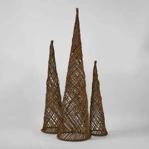 Salene Willow Cone Tree 147cm by Florabelle Living, a Plants for sale on Style Sourcebook