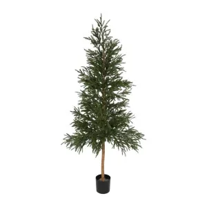 2.2m Picea Christmas Tree With 2035 Leaves by Florabelle Living, a Plants for sale on Style Sourcebook