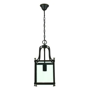 Bronze Michigan Lantern Pendant Light 1 Light by Lighting Inspirations, a Pendant Lighting for sale on Style Sourcebook