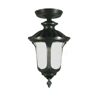 Waterford Antique Black Under Eave Light IP44 Small by Lighting Inspirations, a Outdoor Lighting for sale on Style Sourcebook