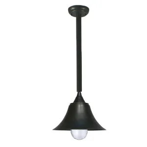 Rod IP55 Causeway Pendant Light Antique Bronze by Lighting Inspirations, a Pendant Lighting for sale on Style Sourcebook