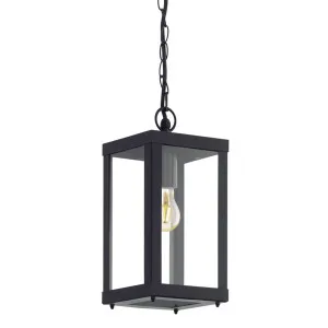 Eglo Alamonte 1 Light Industrial Outdoor Pendant with Clear Glass Shade Black by Eglo, a Pendant Lighting for sale on Style Sourcebook