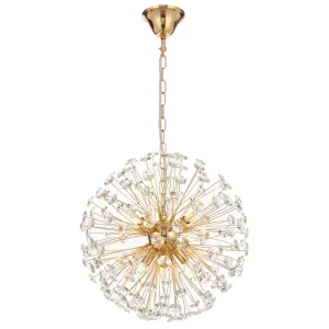Telbix Lerida 8 Light Pendant Gold by Telbix, a Chandeliers for sale on Style Sourcebook