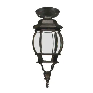 Flinders Antique Bronze Under Eave Light Small by Lighting Inspirations, a Outdoor Lighting for sale on Style Sourcebook