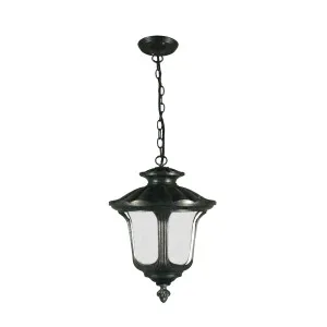 Waterford Antique Black Pendant Light Large Chain by Lighting Inspirations, a Pendant Lighting for sale on Style Sourcebook