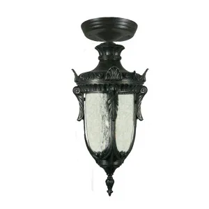 Wellington Antique Black Under Eave Light IP44 Small by Lighting Inspirations, a Outdoor Lighting for sale on Style Sourcebook