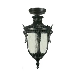 Wellington Antique Black Under Eave Light IP44 Medium by Lighting Inspirations, a Outdoor Lighting for sale on Style Sourcebook