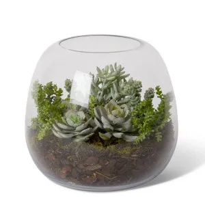 Bell Sedum Succulent Mix - Alma Vase - 25 x 25 x 22cm by null, a Plants for sale on Style Sourcebook