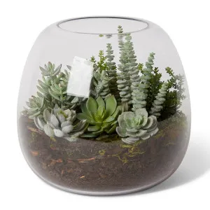 Bell Sedum Succulent Mix - Alma Vase - 29 x 29 x 27cm by null, a Plants for sale on Style Sourcebook