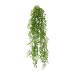 Rue Hanging Bush - 24 x 16 x 89cm by null, a Plants for sale on Style Sourcebook