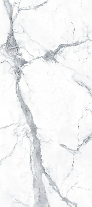 Spacious Calacatta White Polished Tile by null, a Porcelain Tiles for sale on Style Sourcebook