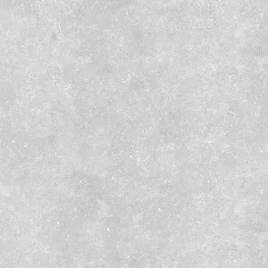 Florence Stone Grey Extra Text Tile by null, a Outdoor Tiles & Pavers for sale on Style Sourcebook
