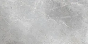 Eternal Silver Silk Tile by null, a Porcelain Tiles for sale on Style Sourcebook
