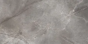 Eternal Taupe Silk Tile by null, a Porcelain Tiles for sale on Style Sourcebook