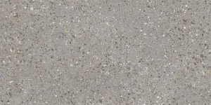 Promenado Charcoal Extra X Textured Tile by null, a Outdoor Tiles & Pavers for sale on Style Sourcebook
