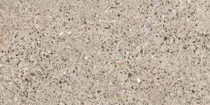 Promenado Greige Extra X Textured Tile by null, a Outdoor Tiles & Pavers for sale on Style Sourcebook